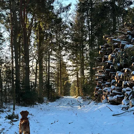 Charmerende Lejlighed Pa Landet Med Privat Skov Bjergby Exterior photo